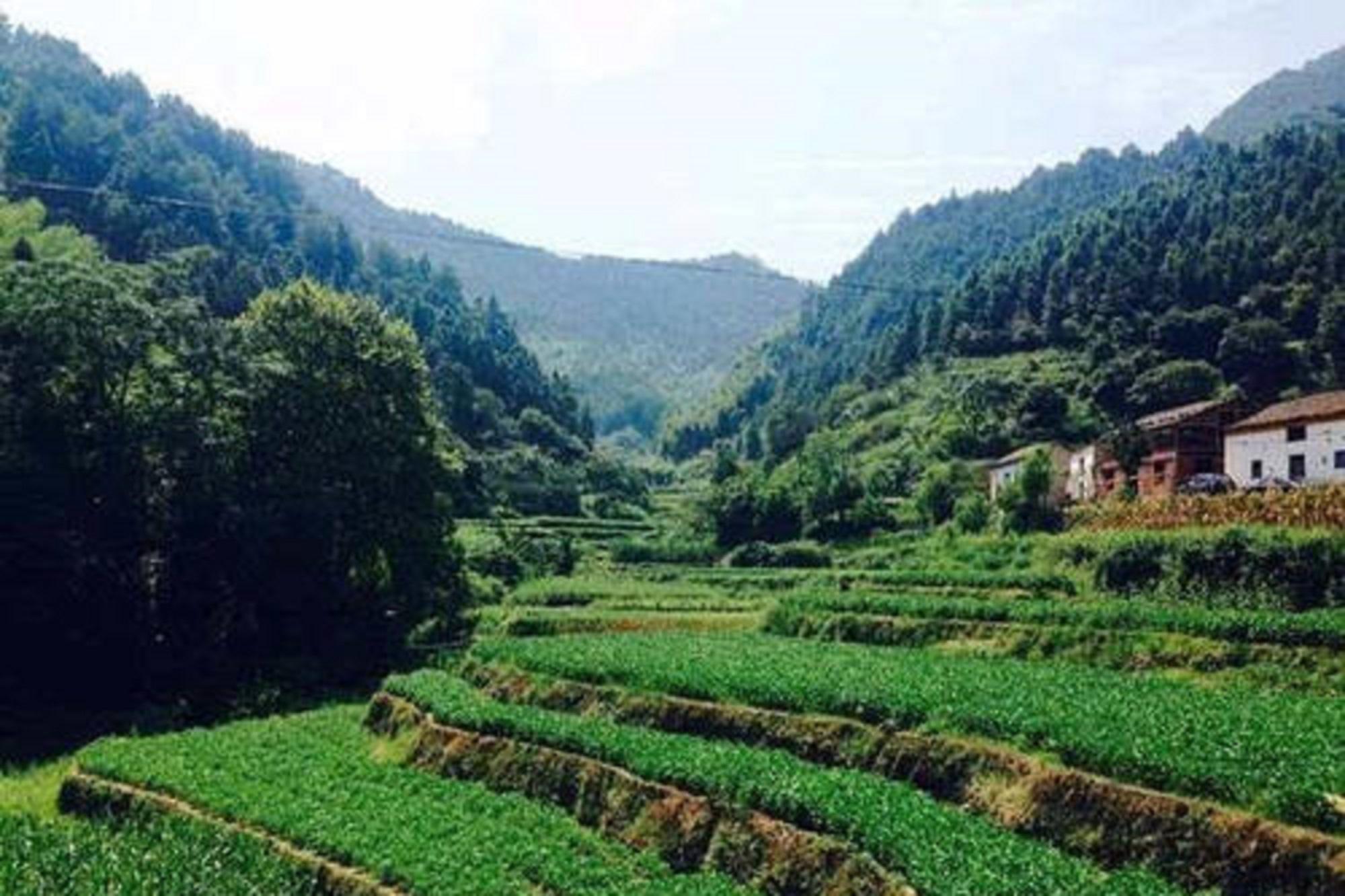 王畈村