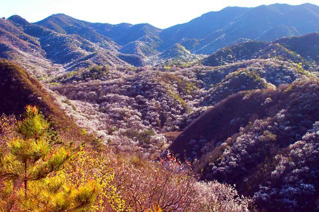 老银庄村