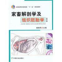 家畜解剖學(xué)及組織胚胎學(xué)