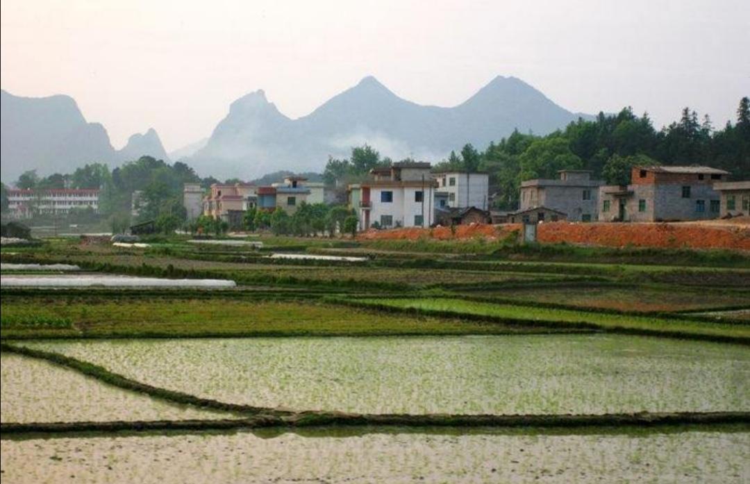 瓦莊村