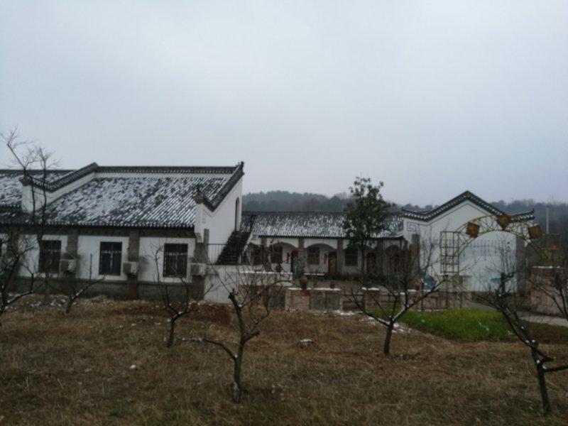 薛堂村
