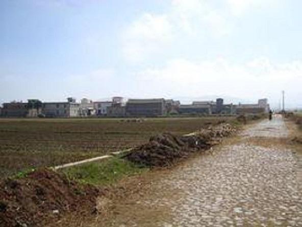江尾村