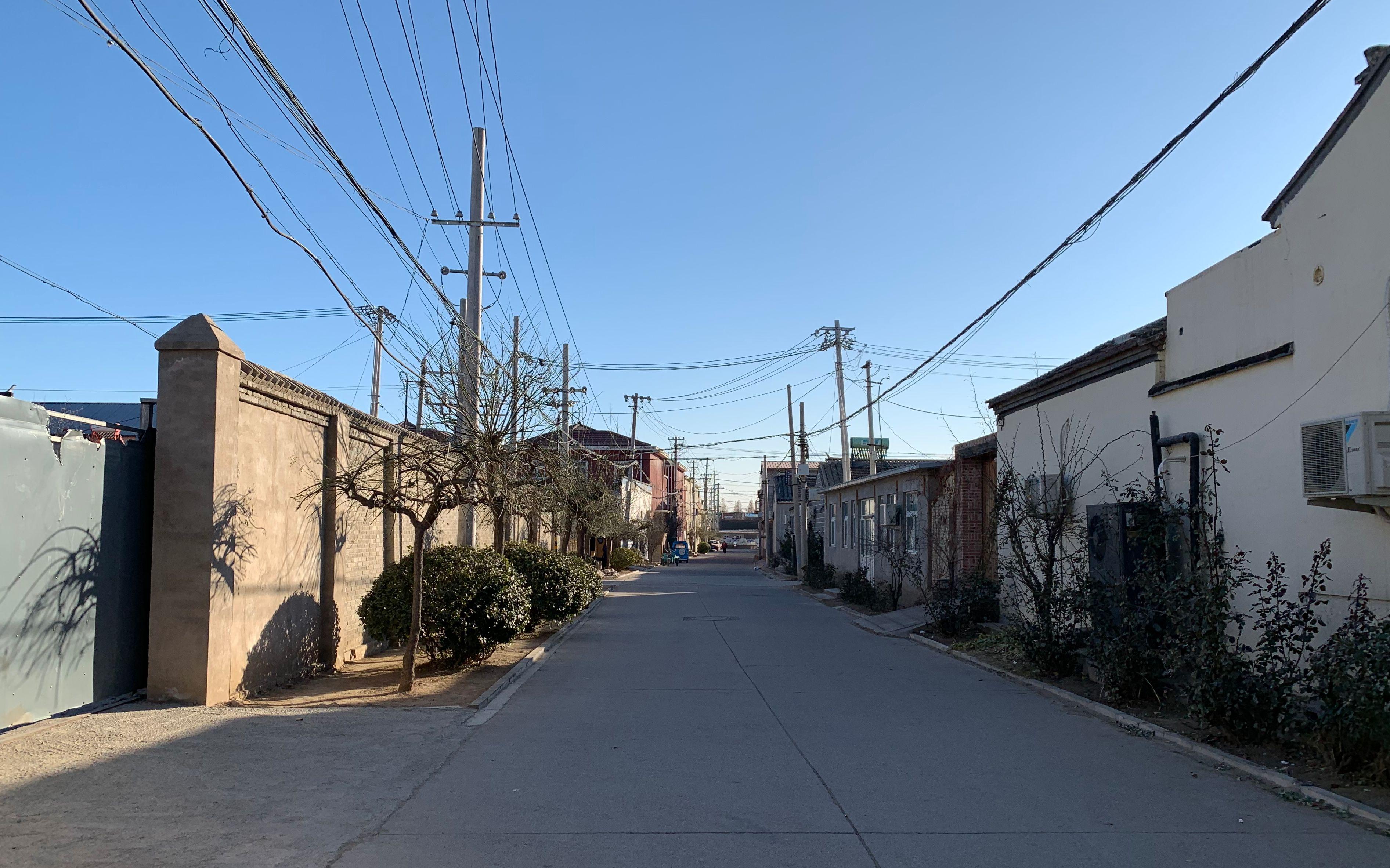 辛莊村