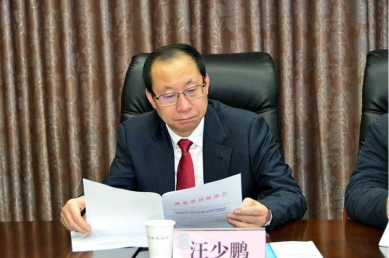 汪少鵬