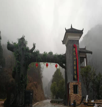 洪家山森林公园