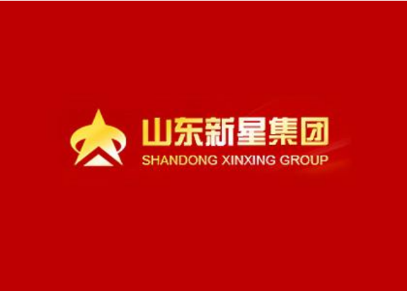 山东新星集团有限公司