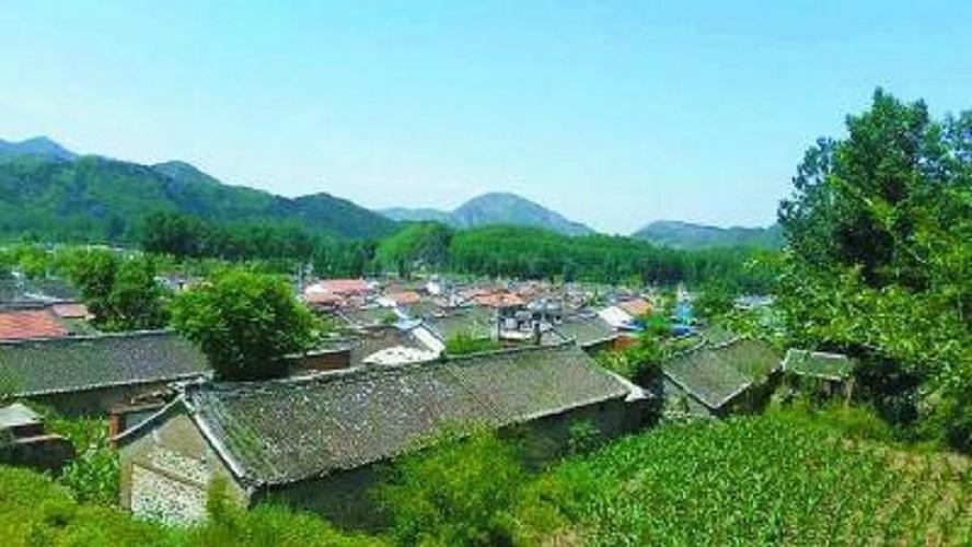 王屯村
