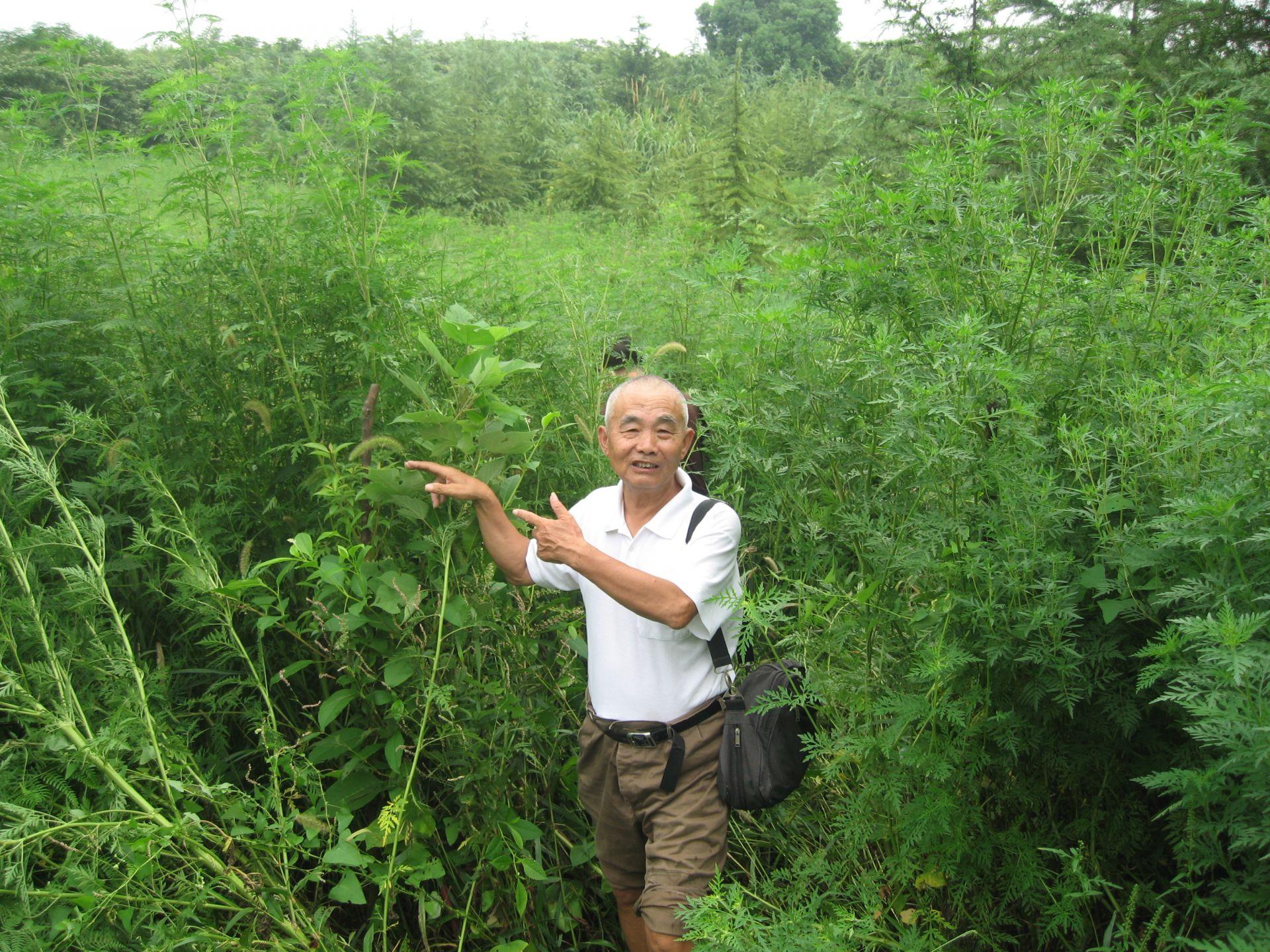朱文达