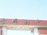 雷埠初中