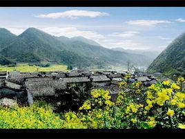 历溪村