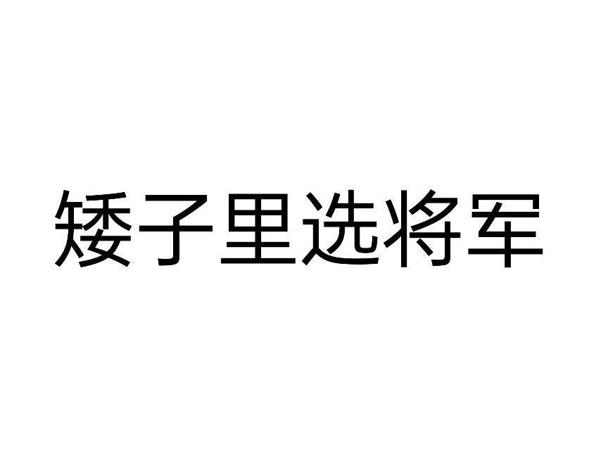 矮子里选将军