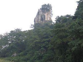 龙茶村