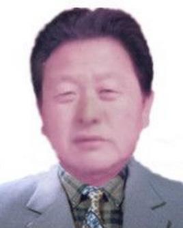 劉衛(wèi)民
