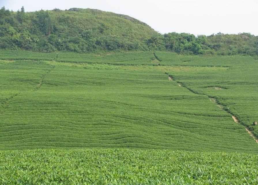 石塔村