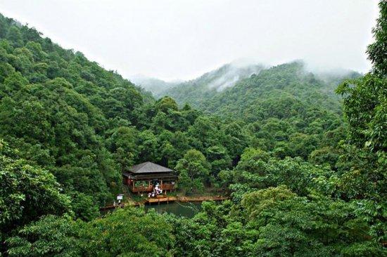 原生態(tài)體驗區(qū)