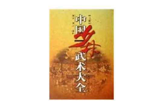 中国少林武术大全