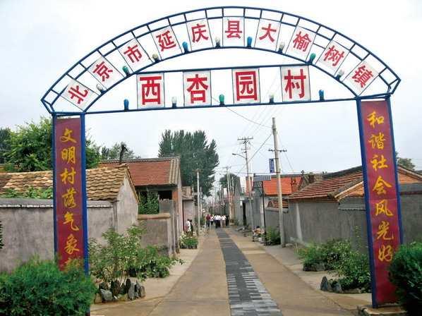 西杏园村