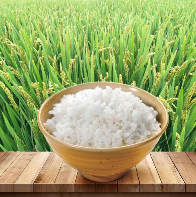 蘇北大米