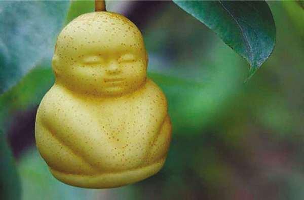 娃娃梨