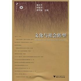 文化與社會轉(zhuǎn)型