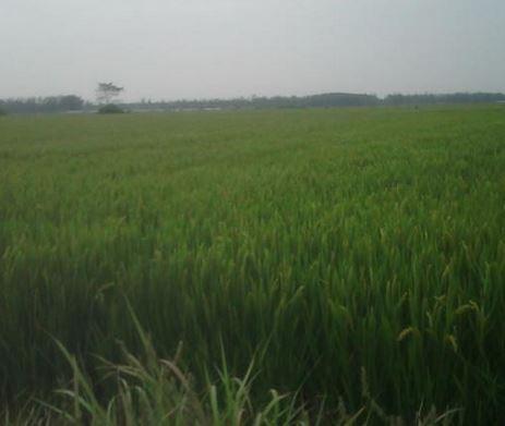 方坝村