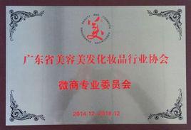 廣東省美容美發(fā)化妝品行業(yè)協(xié)會(huì)微商專業(yè)委員會(huì)