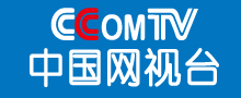中国网视台