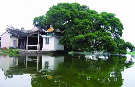 张严冯