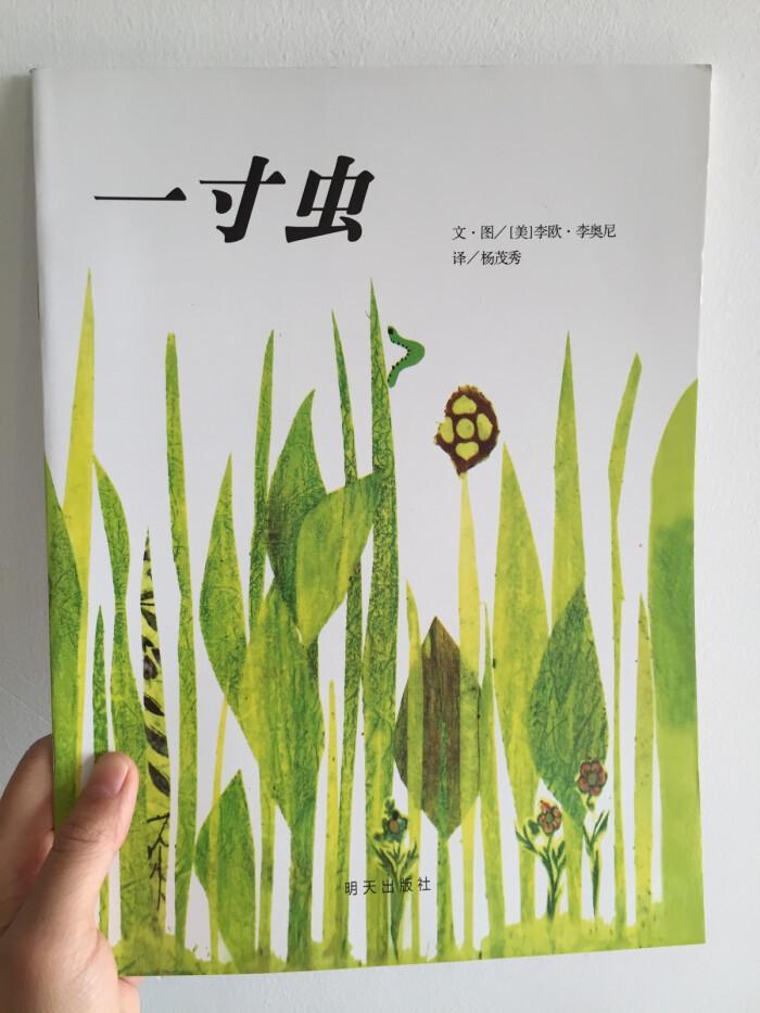 一寸虫