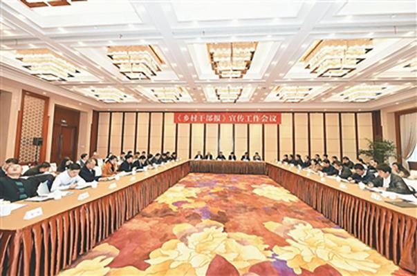 乡村干部报