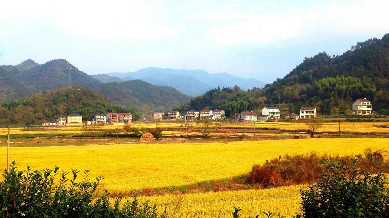 廬鎮(zhèn)鄉(xiāng)