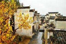 秀里村