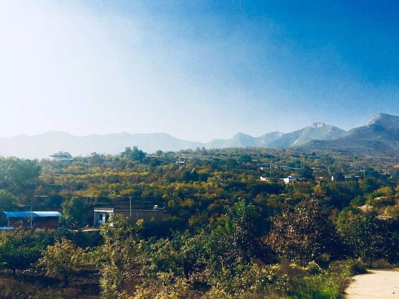 馬家坡