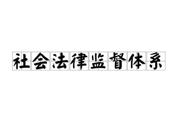 社会法律监督体系