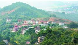 大洲村