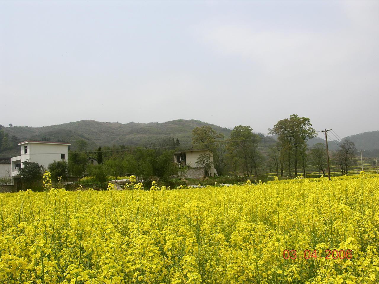 藍(lán)田村