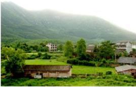 西屏村
