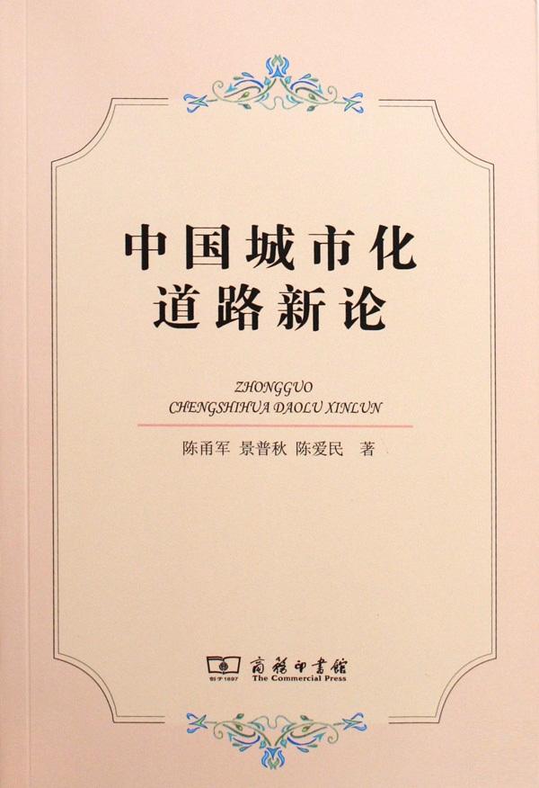 中国城市化道路新论