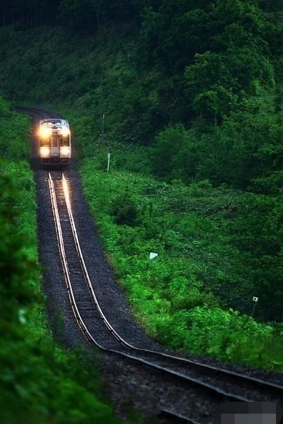 團(tuán)杉鐵路