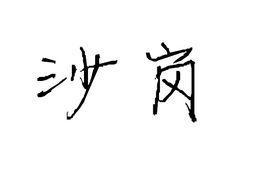 沙崗村