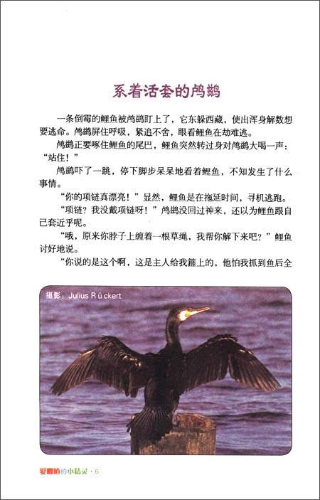 爱唧喳的小精灵