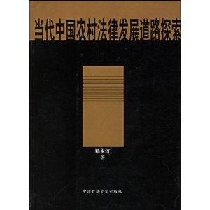 当代中国农村法律发展道路探索
