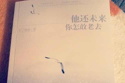 他還未來你怎敢老去