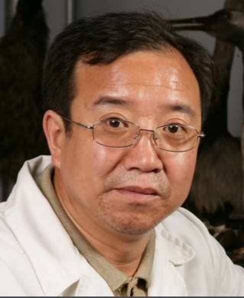 李曉民