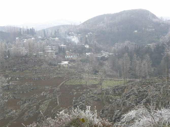 貴州省畢節(jié)市大方縣鼎新鄉(xiāng)同心村