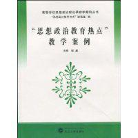 思想政治教育热点教学案例