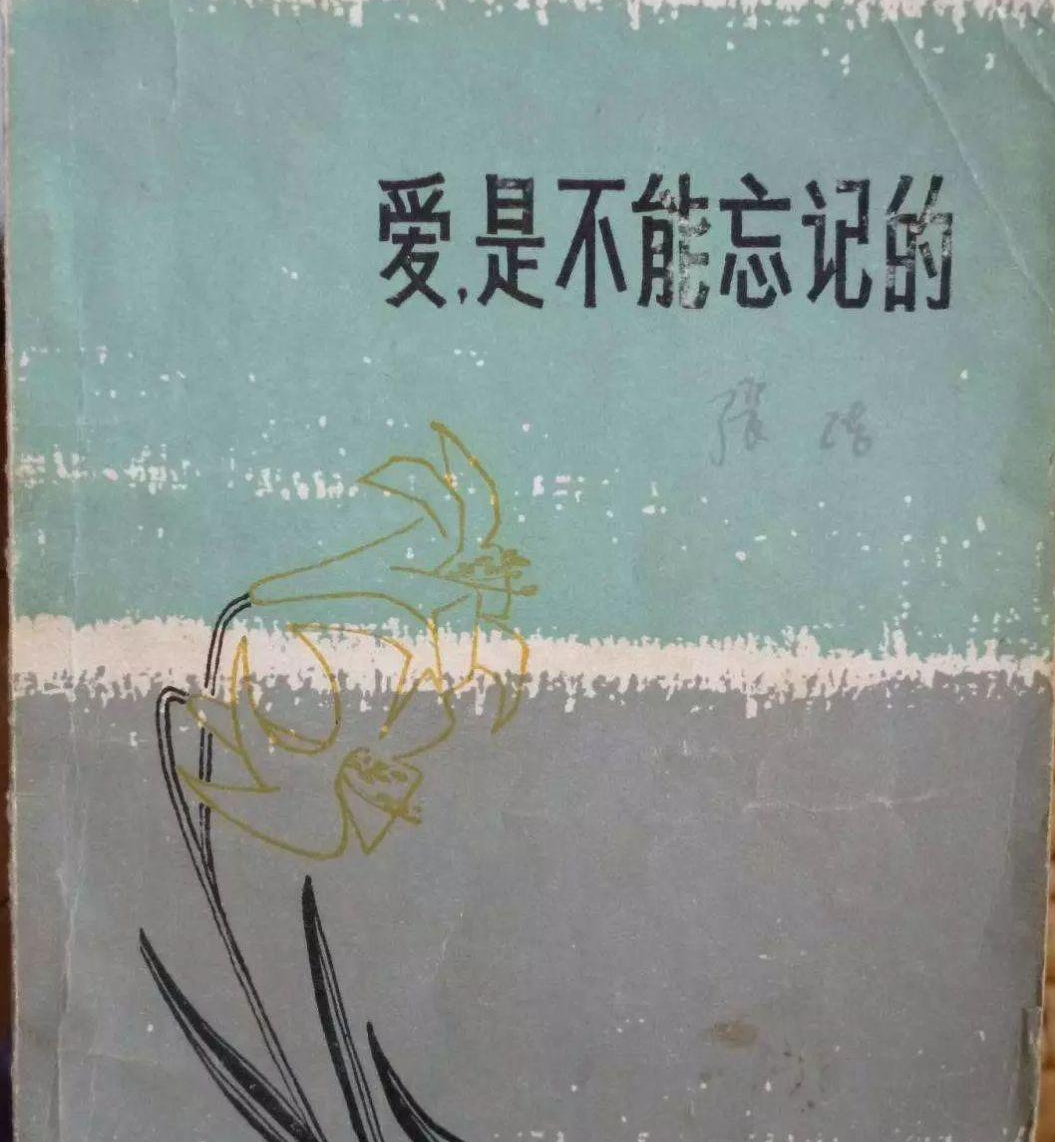 爱，是不能忘记的