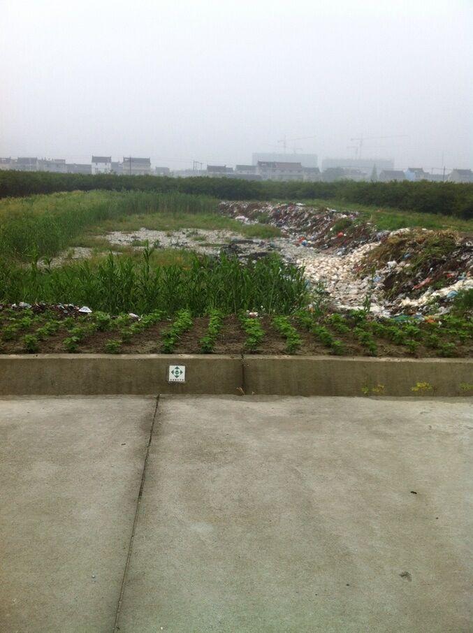 東閭村