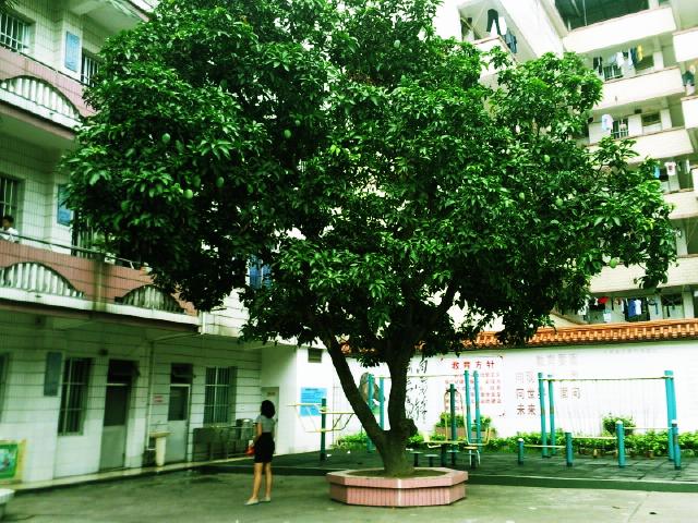 南寧市秀廂小學(xué)