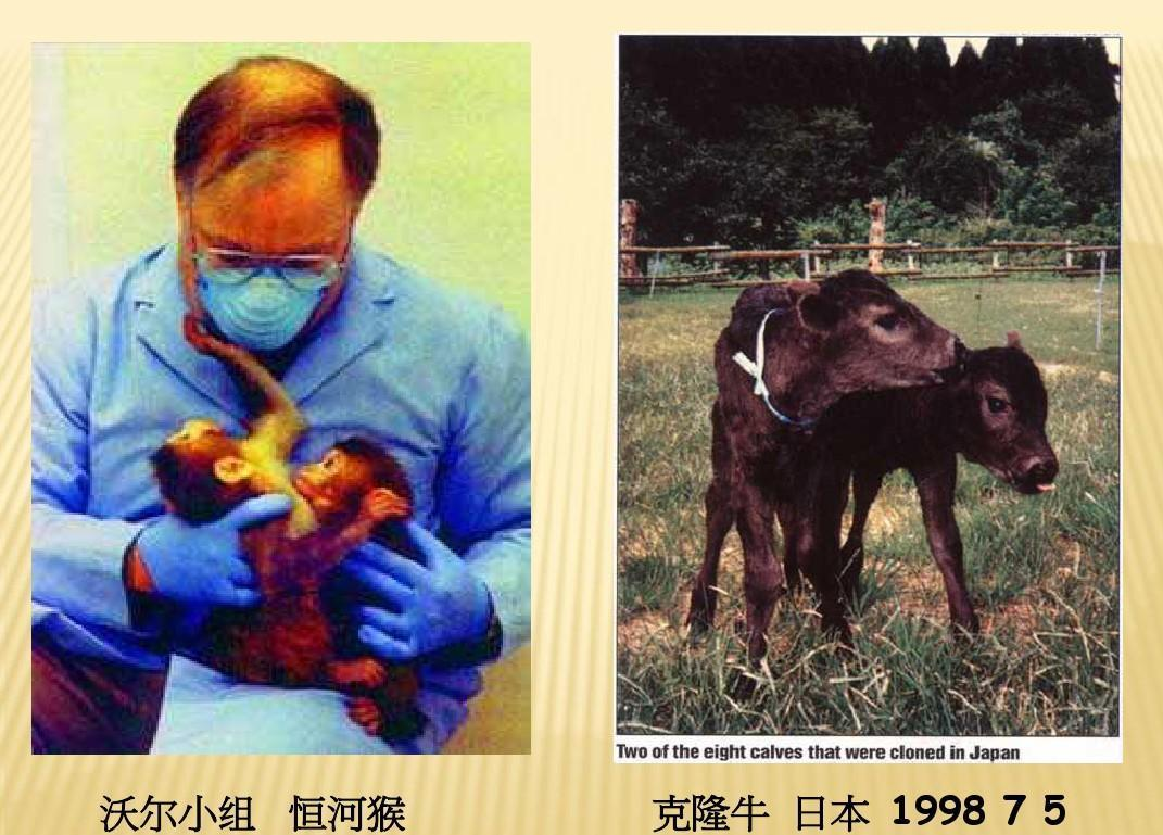 植物生物技術(shù)